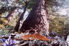 The-tiger-soon-tired
