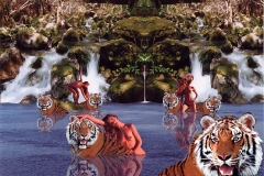 bathingtigers