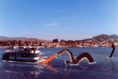 bravedeckhand