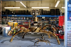 chevron-spider