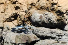 mars-rover-web