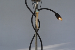 ROBO-LAMP
