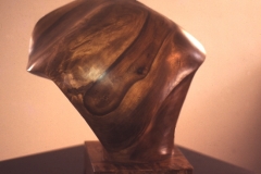 shape-english-walnut