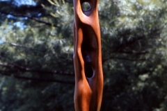 teak
